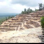 Gambar: Hutan Lindung Ulak II dibangun teras-teras