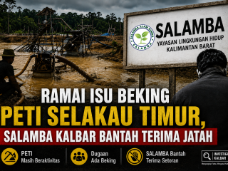 Ramai Isu Beking PETI di Selakau Timur, SALAMBA Kalbar Bantah Terima Jatah