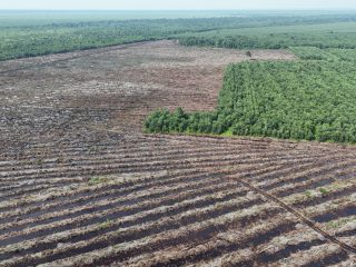 Jejak Fesyen Eropa di Hutan Indonesia:  Wahana Lingkungan Hidup Indonesia (WALHI) mendesak Uni Eropa untuk memasukkan viskose ke dalam cakupan European Union Deforestation Regulation (EUDR)
