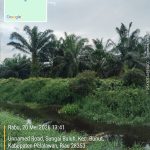 SALAMBA: YANG DITANAMI PT SHL BUKAN FUNGSI SUNGAI, TAPI FUNGSI ALIRAN AIR MENUJU SUNGAI BULUH