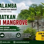SALAMBA Kalbar Minta Aktivitas Pembabatan Mangrove di Sebubus Dihentikan