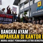 1.500 Bangkai Ayam Ditumpahkan di Kantor PLN Palangka Raya, Peternak Murka; Tuntut Pertanggungjawaban atas Dugaan Kerugian Akibat Pemadaman Listrik Berkepanjangan
