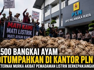 1.500 Bangkai Ayam Ditumpahkan di Kantor PLN Palangka Raya, Peternak Murka; Tuntut Pertanggungjawaban atas Dugaan Kerugian Akibat Pemadaman Listrik Berkepanjangan