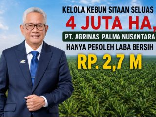 Kelola  Lahan seluas 4,11 Juta Hektar hasil Sitaan PT Agrinas Palma Nusantara memperoleh Laba Bersih Hanya Rp 2,7 Miliar