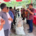 Bagikan Bibit Padi "Megawati Soekarnoputri" ke Bonan Dolok Samosir, Rapidin Simbolon : Jaga Jalan dan Wisata Agar Ekonomi Warga Tumbuh