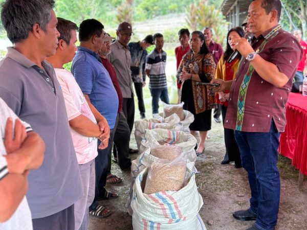 Bagikan Bibit Padi "Megawati Soekarnoputri" ke Bonan Dolok Samosir, Rapidin Simbolon : Jaga Jalan dan Wisata Agar Ekonomi Warga Tumbuh