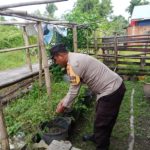 Polsek Merbau Sembang Petani Cabe.Dalam Giat Swasembada Pangan Nasional