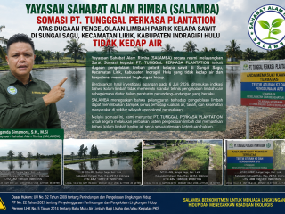 Diduga Kolam Limbah Tak Kedap Air, Yayasan SALAMBA Segera Gugat PT Tunggal Perkasa Plantation ke PN Inhu