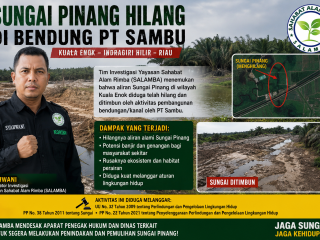 Ditemukan lokasi menghilang nya sungai alam "Sungai pinang di duga di bendung oleh PT Pulau sambu Kuala Enok
