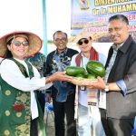 Wabup Samosir Bersama Dirjen Hortikultura Kementan Tanam Bawang Putih, Dorong Samosir Jadi Sentra Swasembada Pangan