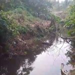 Sungai Mengkasih Menghitam dan Berbau, Warga Minta Yayasan SALAMBA Gugat PT Putra Keritang Sawit
