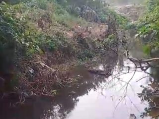 Sungai Mengkasih Menghitam dan Berbau, Warga Minta Yayasan SALAMBA Gugat PT Putra Keritang Sawit