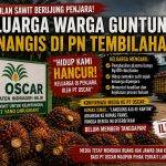 Diduga Ambil  Berondolan Sawit PT.Oscar, Berujung Pengadilan, Keluarga Warga Guntung: ‘Hidup Kami Benar-Benar Hancur