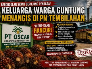 Diduga Ambil  Berondolan Sawit PT.Oscar, Berujung Pengadilan, Keluarga Warga Guntung: ‘Hidup Kami Benar-Benar Hancur