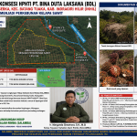 Yayasan SALAMBA Persiapkan Laporan Alih Fungsi Hutan di Konsesi PT Bina Duta Laksana dan Sepadan Sungai Gaung Anak Serka