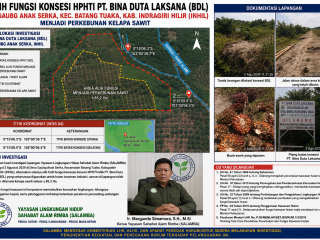 Yayasan SALAMBA Persiapkan Laporan Alih Fungsi Hutan di Konsesi PT Bina Duta Laksana dan Sepadan Sungai Gaung Anak Serka