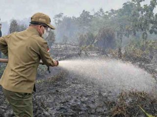 Bupati Sambas Turun Langsung Padamkan Api di Lokasi Karhutla