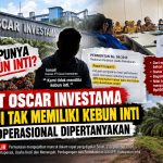 PT Oscar Investama Diakui Tak Memiliki Kebun Inti, Izin Operasional Dipertanyak