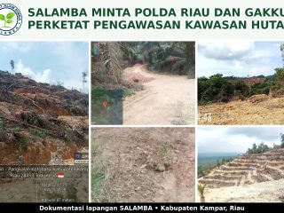 SALAMBA Desak Polda  Riau  dan GAKKUM Perketat Pengawasan  Perambahan Hutan  di  Kampar