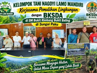 Kelompok Tani Nagoyi Lamo Mandiri Gandeng BKSDA Riau, Siap Tanam Pohon di 100 Hektare Kawasan Suaka Margasatwa Bukit Rimbang Bukit Baling