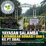 SALAMBA Layangkan Somasi I & II  kepada PT SBAL, Soroti Dugaan Penguasaan Kawasan Hutan dan Pasokan Ribuan Ton TBS Ke Pabrik Kelapa Sawit  Setiap Bulan Dari Kawasan Hutan